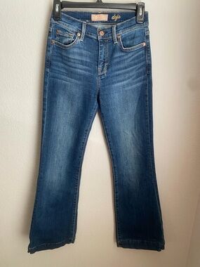 7 For All Mankind Dojo